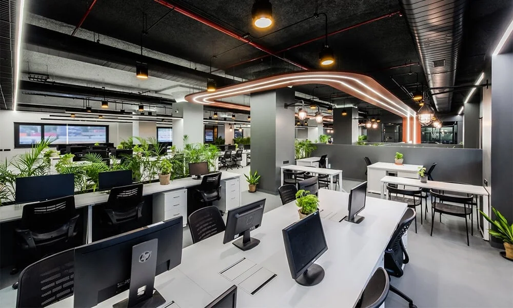 Maximizing Productivity through Office Design: Tips and Tricks